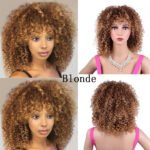 Synthetic Afro Curly Wig African Wigs For Black Women - Image 3