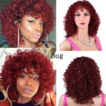 Synthetic Afro Curly Wig African Wigs For Black Women - Image 6