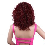 Synthetic Afro Curly Wig African Wigs For Black Women - Image 5