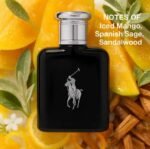 Polo Black Cologne  for Men - Image 2