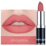 Matte Lipstick Stick – Long Lasting Velvet Nude Lip Color - Authentic Lipsticks by axlearc.com